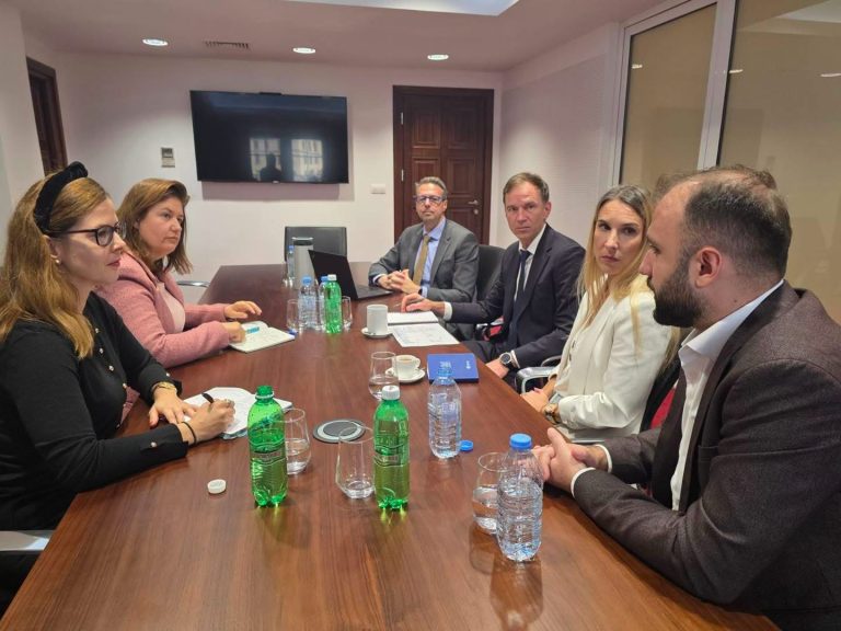 Божиновска: Соработката со KfW отвора можности за нови енергетски проекти